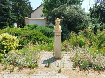 Búza Barna-mellszobor Sarkad