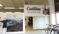 Cadillac Múzeum Törökbálint - Belső