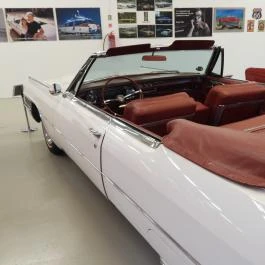 Cadillac Múzeum Törökbálint - Egyéb