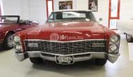 Cadillac Múzeum Törökbálint - Egyéb