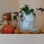 Cafe Miel Budapest - Belső