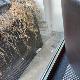 California Coffee Company - Kálvin tér Budapest - Egyéb