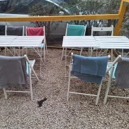 California Poké Bar Somogyi Budapest - Egyéb