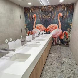 Campona Budapest - Egyéb