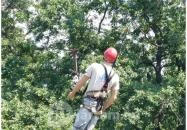 Canopy Visegrád Visegrád