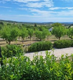 Casa Christa birtok étterme