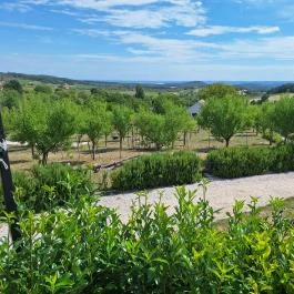 Casa Christa birtok étterme Balatonszőlős - Külső kép