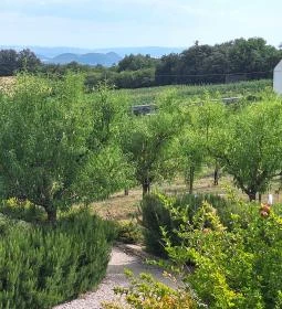 Casa Christa birtok étterme