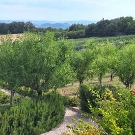 Casa Christa birtok étterme Balatonszőlős - Külső kép