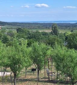 Casa Christa birtok étterme