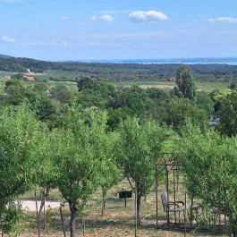 Casa Christa birtok étterme Balatonszőlős - Külső kép