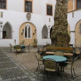 Héderváry Kastélyszálloda Hédervár - Medence/kert