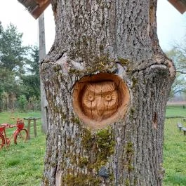 Misefa Kastély Misefa - Környék