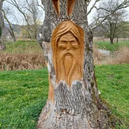 Misefa Kastély Misefa - Környék