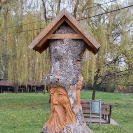 Misefa Kastély Misefa - Környék