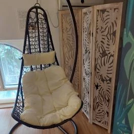 Cat Museum Budapest, Budapest - Belső