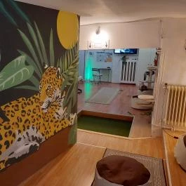 Cat Museum Budapest, Budapest - Belső