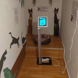 Cat Museum Budapest, Budapest - Belső