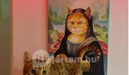 Cat Museum Budapest Budapest - Egyéb