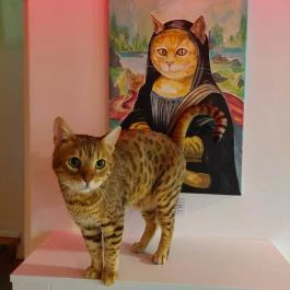 Cat Museum Budapest, Budapest - Egyéb