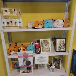 Cat Museum Budapest, Budapest - Egyéb