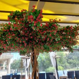 Cayman Étterem & Pizzéria Budapest - Egyéb