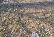 Cella Trichora Budapest