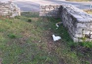 Cella Trichora Budapest