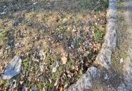 Cella Trichora Budapest