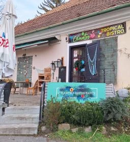 Cilantro Tropical Bistro 