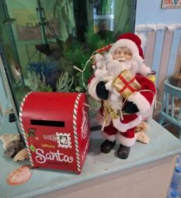 Cilantro Tropical Bistro 