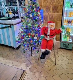 Cilantro Tropical Bistro 