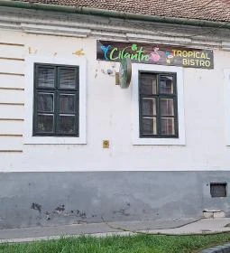 Cilantro Tropical Bistro 