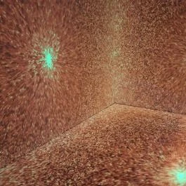 Cinema Mystica Budapest - Egyéb