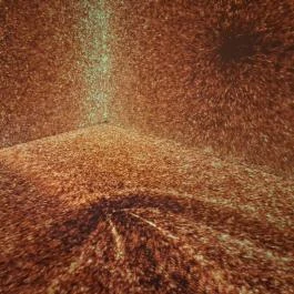 Cinema Mystica Budapest - Egyéb