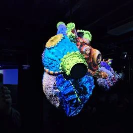 Cinema Mystica Budapest - Egyéb