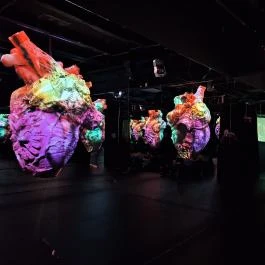 Cinema Mystica Budapest - Egyéb