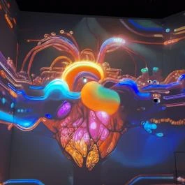 Cinema Mystica Budapest - Egyéb