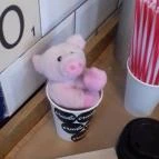 Crudo - Fehérvári úti Vásárcsarnok Budapest - Belső