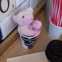 Crudo - Fehérvári úti Vásárcsarnok, Budapest - Belső