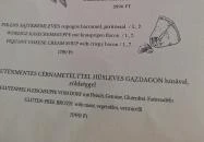 Csalogány Étterem & Kávézó Balatonfenyves