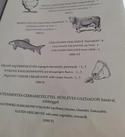 Csalogány Étterem & Kávézó