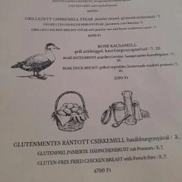 Csalogány Étterem & Kávézó, Balatonfenyves - Étlap/itallap