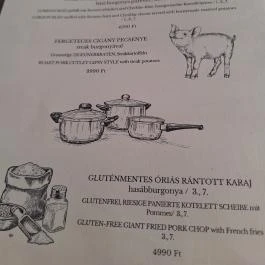 Csalogány Étterem & Kávézó, Balatonfenyves - Étlap/itallap