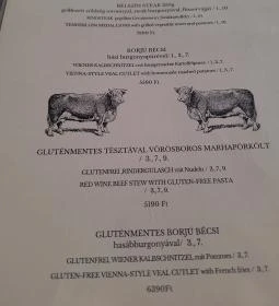 Csalogány Étterem & Kávézó