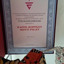 Csefalvay-kúria, Pincehely - Egyéb