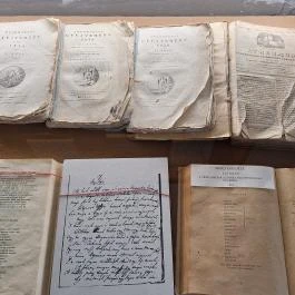 Csefalvay-kúria, Pincehely - Egyéb