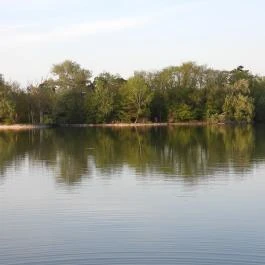 Cseke-tó, Tata - Egyéb