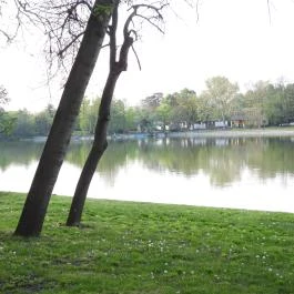 Cseke-tó, Tata - Külső kép