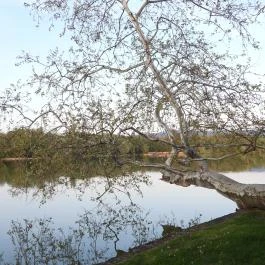 Cseke-tó, Tata - Egyéb